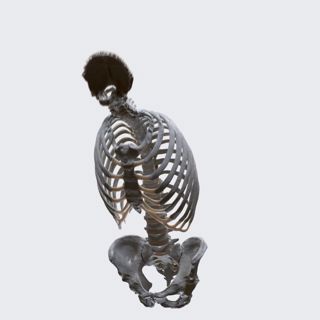 Biomechanics of the spine: flexion and extension  image