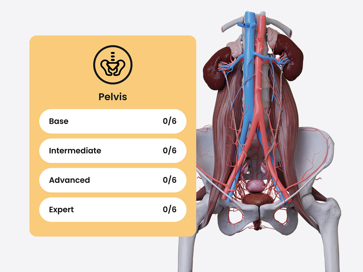 Content news August 25 quizzes