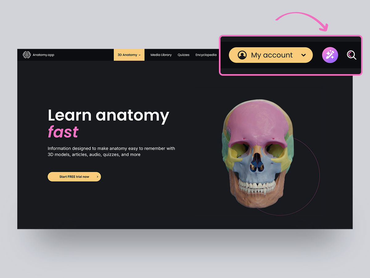 AA_blog_content_dec25_1