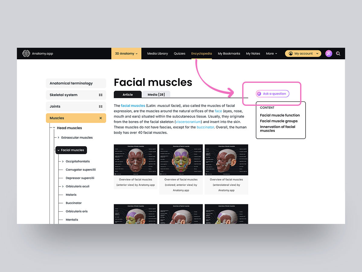 AA_blog_content_dec25_3