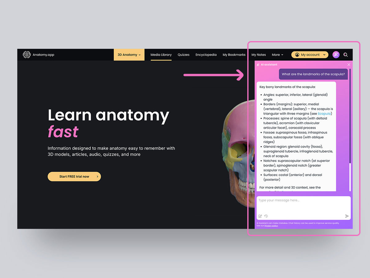 AA_blog_content_dec25_5