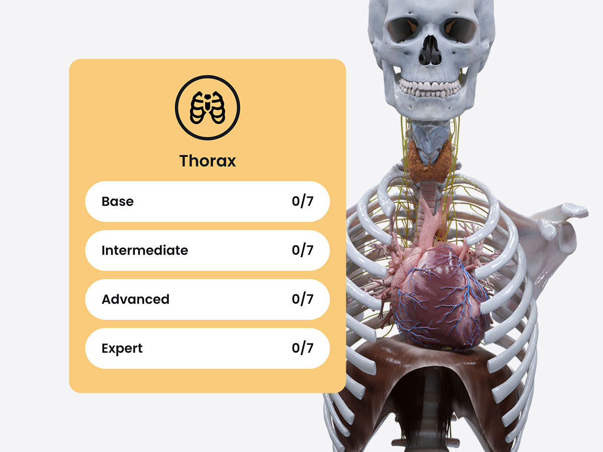 AA_blog_feb26_conten