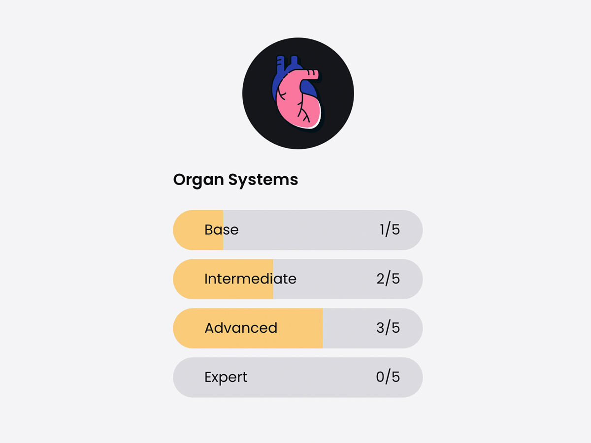 New Urinary system quiz