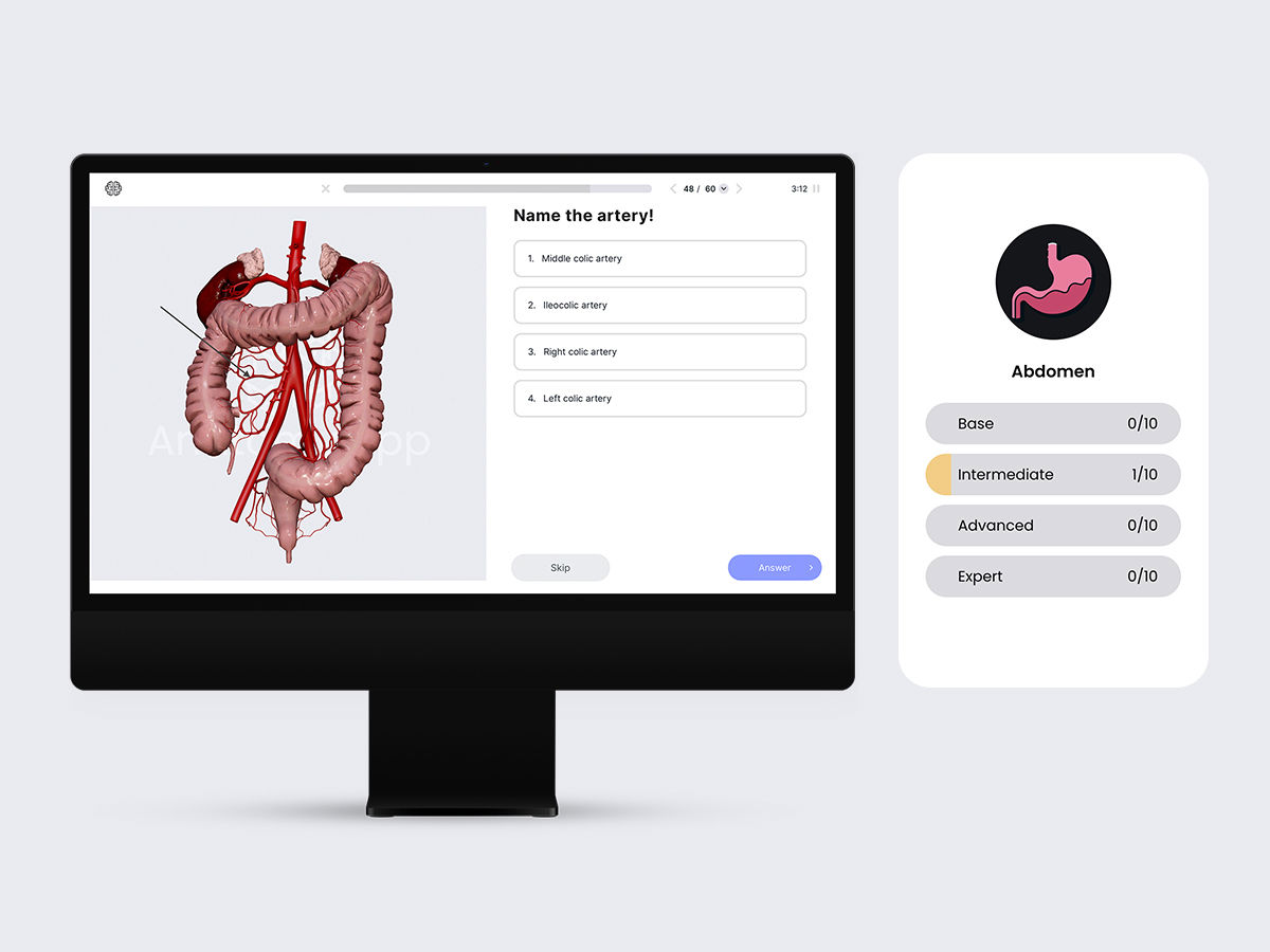 Anatomy.app, Anatomy quizzes, Intestines quiz, Expert, Advanced, Intermediate, Base