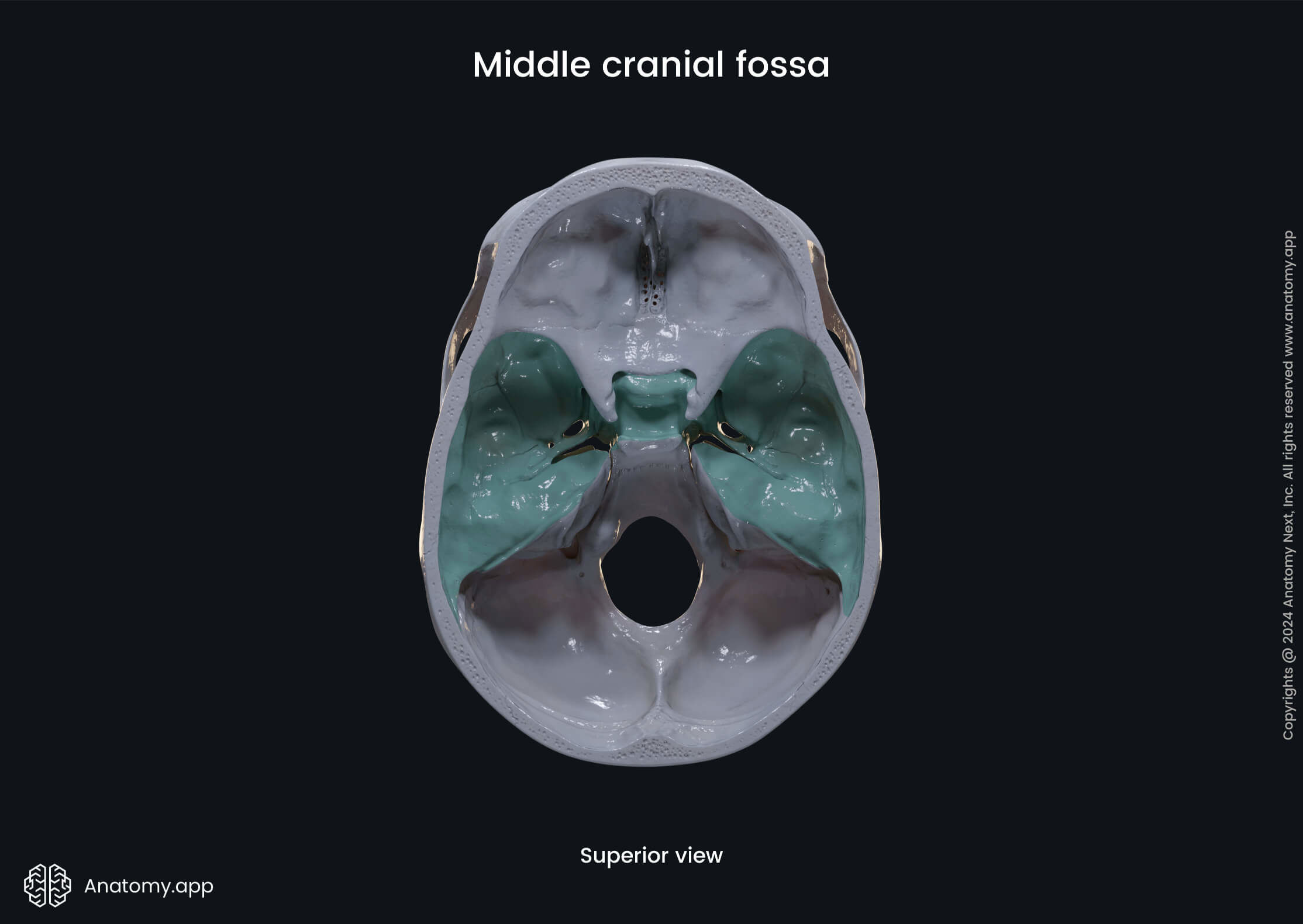 Middle cranial fossa