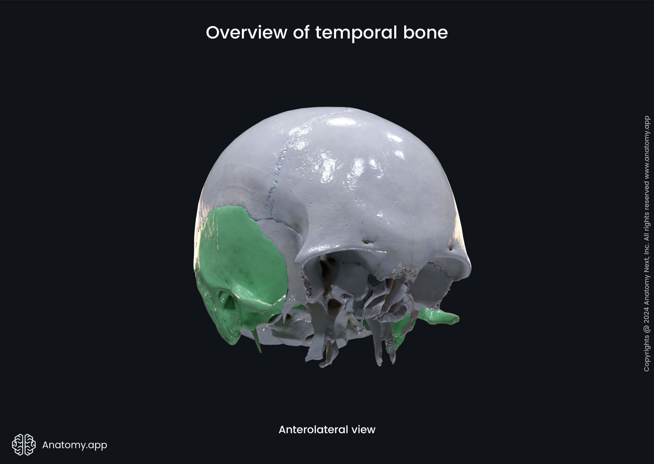 Overview of temporal bone