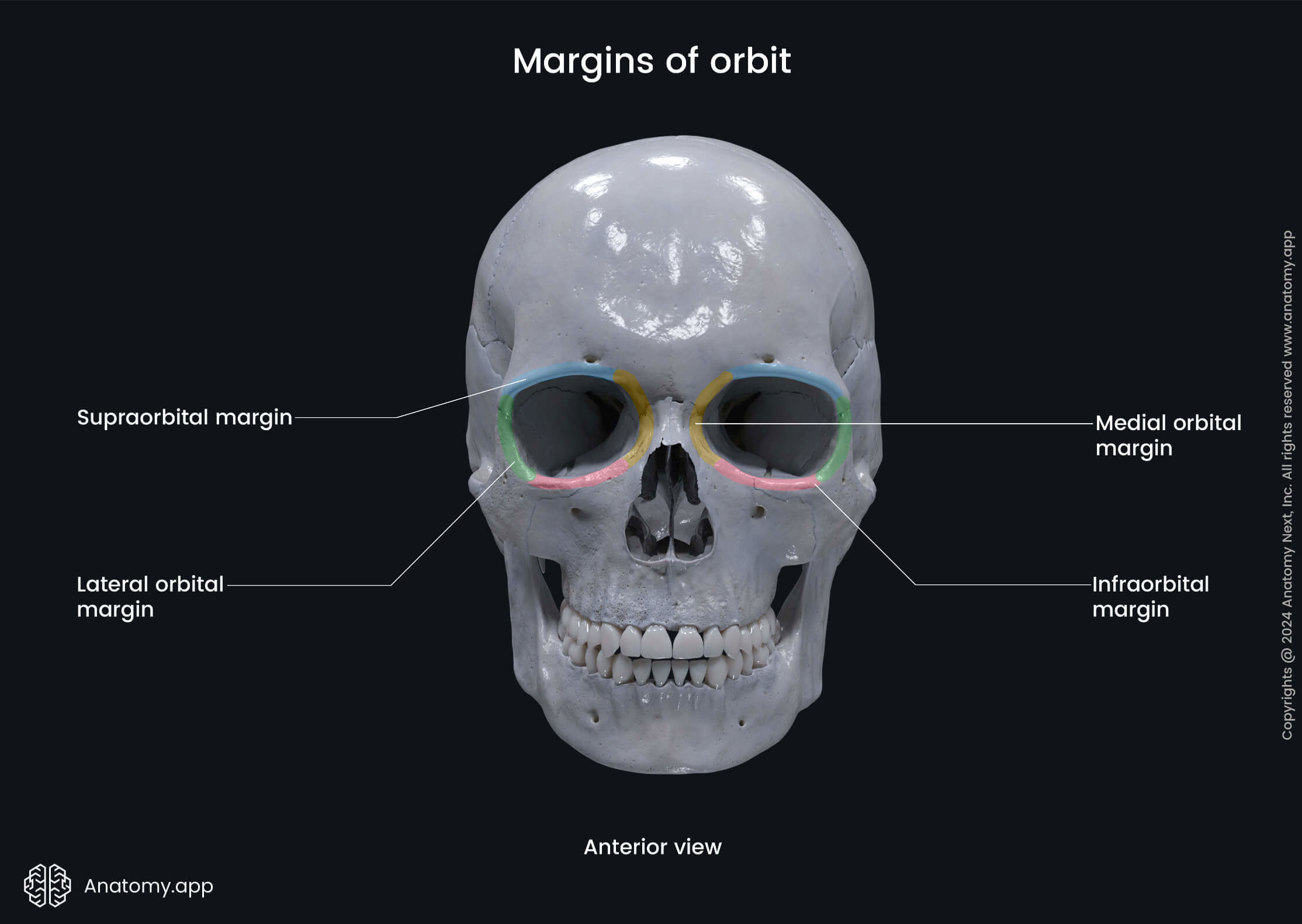 Margins of orbit